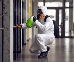  Reno, TX Mold Removal Pros